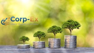 Have Financial Markets Entered a New Era?